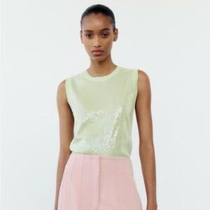 Zara Light Green Sequin Sweater